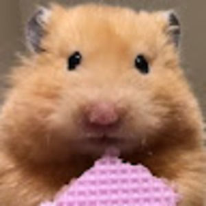 Meet your Posher, Lifen